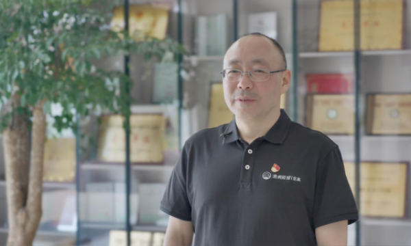 打造煤电铝一体化产业集群 闯出绿色能源转型新路径